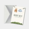 Welkom Baby Boy Geboorte Kaart